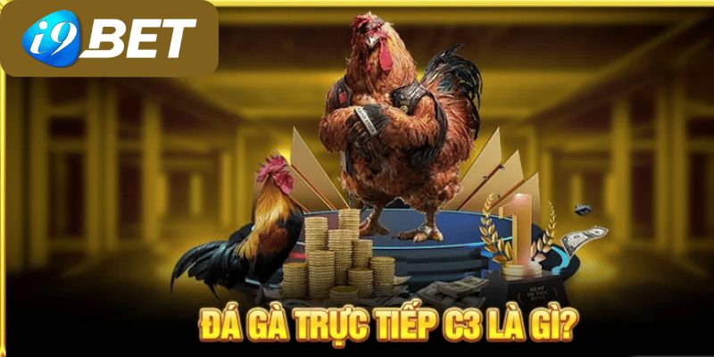 đá gà trực tiếp C3