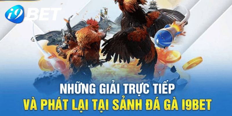 Trực tiếp video trận đấu full HD, sắc nét